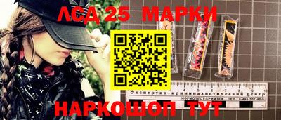 молекула духа Краснознаменск