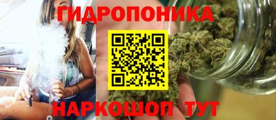 молекула духа Краснознаменск